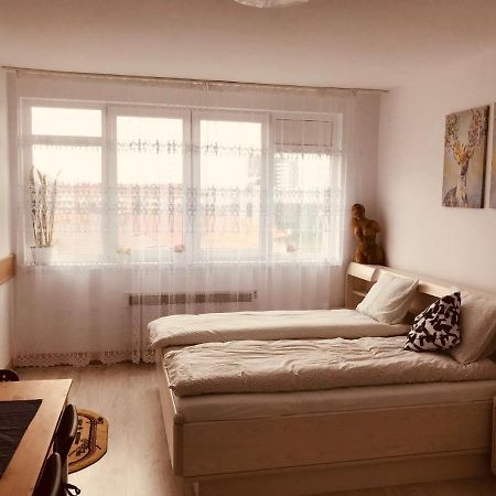 Апартаменты Studio 1O1O1 Пьятра-Нямц Экстерьер фото
