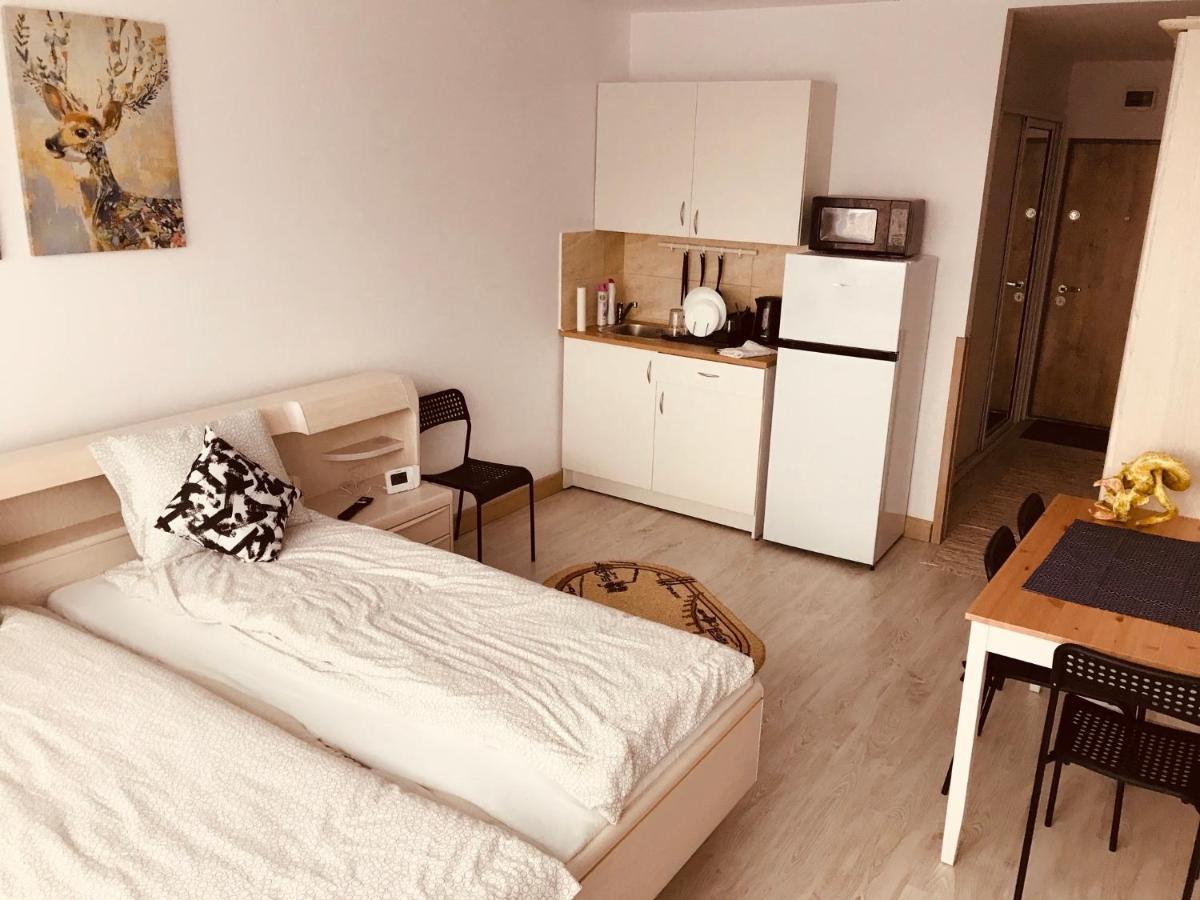 Апартаменты Studio 1O1O1 Пьятра-Нямц Экстерьер фото
